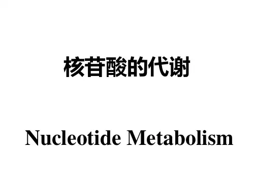 苷酸的代谢(86页)
