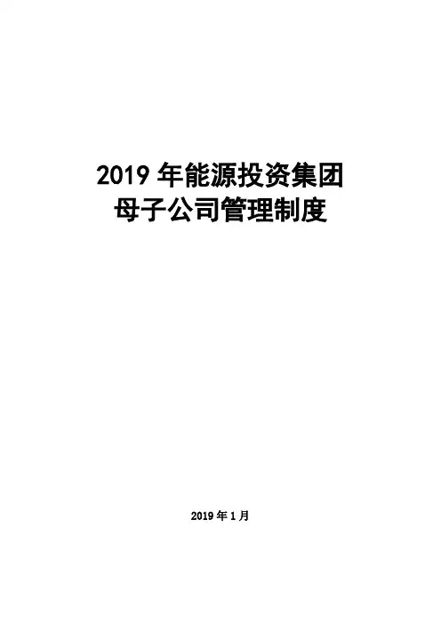 2019年能源投资集团母子公司管理制度