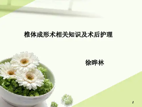 椎体成形术相关知识及术后护理