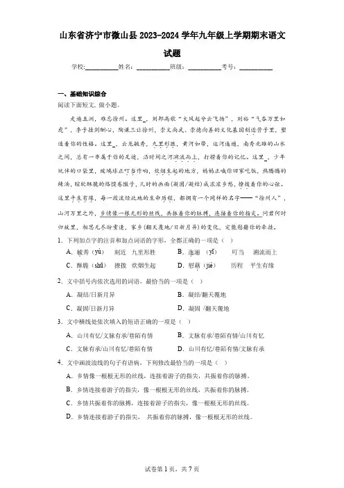 山东省济宁市微山县2023-2024学年九年级上学期期末语文试题