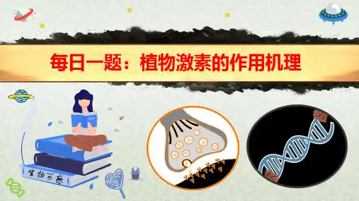 每日一题-植物激素的作用机理