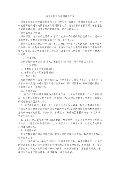销售主管工作计划精选五篇