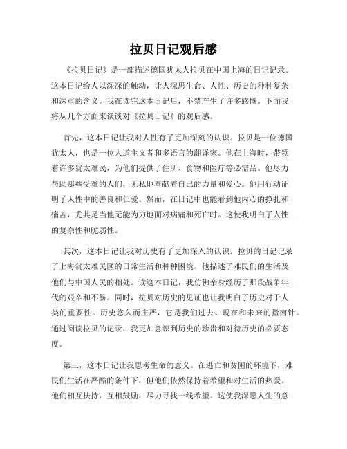 拉贝日记观后感