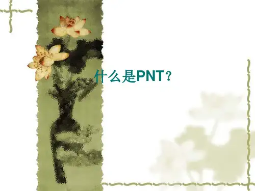 PNT治疗青光眼-PowerPoint-Presentation