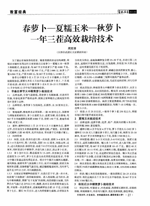 春萝卜—夏糯玉米—秋萝卜一年三茬高效栽培技术