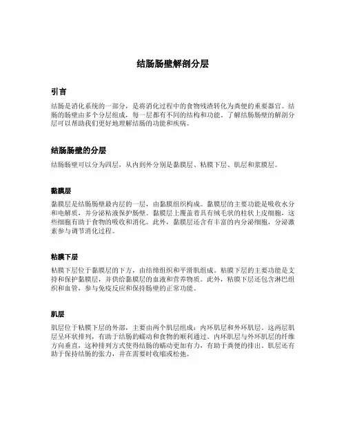 结肠肠壁解剖分层