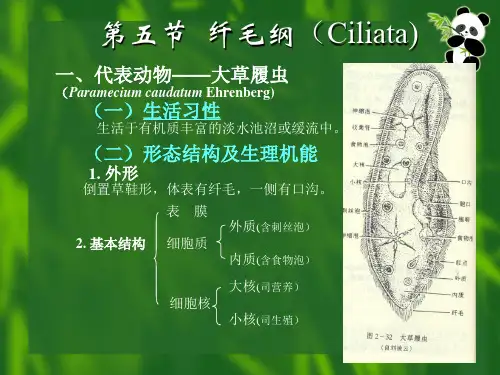 草履虫 的结合生殖Microsoft PowerPoint 演示文稿