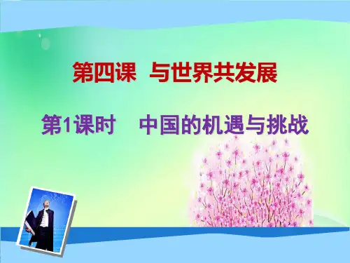部编版《道德与法治》九年级下册中国的机遇与挑战