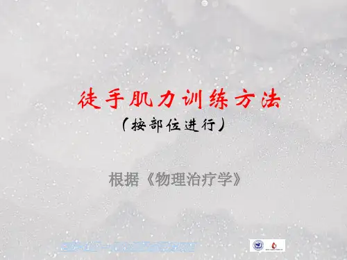 肌力训练方法按部位参考