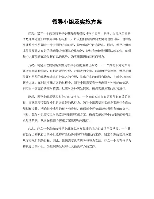 领导小组及实施方案