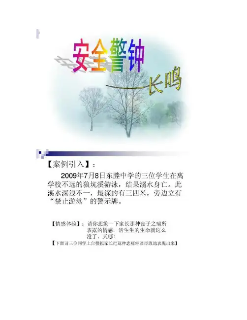 优秀主题班会安全警钟长鸣.ppt.