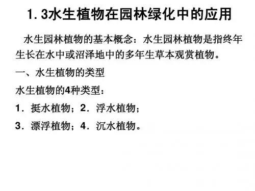 水生植物在园林绿化中的应用
