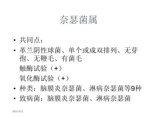 微生物学检验奈瑟菌属卡他布兰汉菌属PPT课件