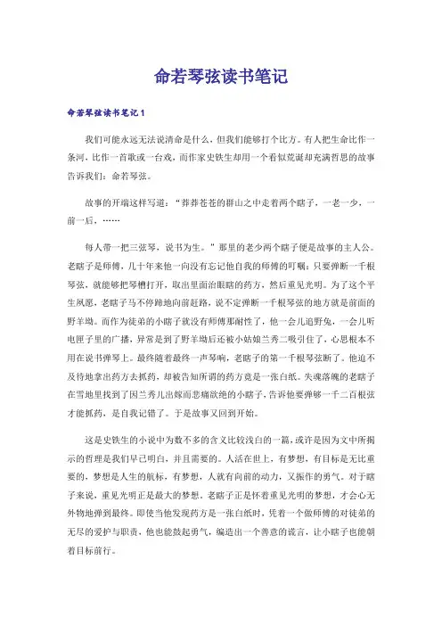 命若琴弦读书笔记_2