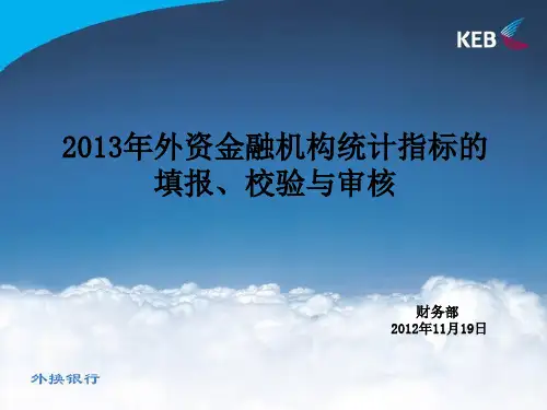 2013年外资金融机构统计指标
