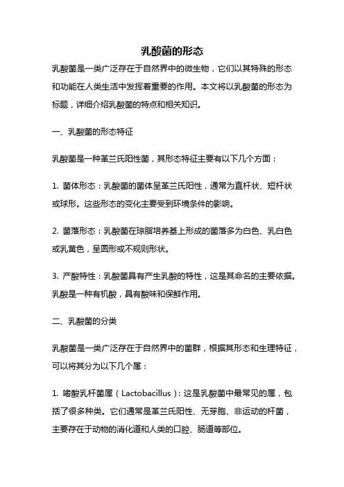 乳酸菌的形态