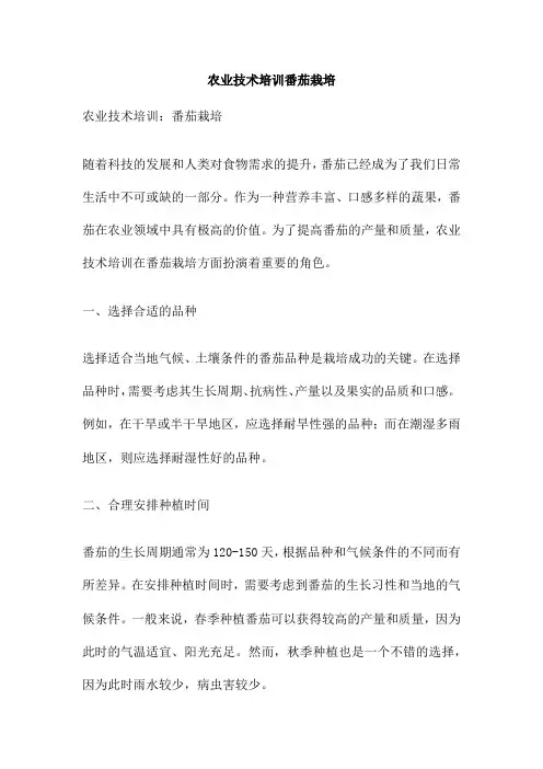 农业技术培训番茄栽培
