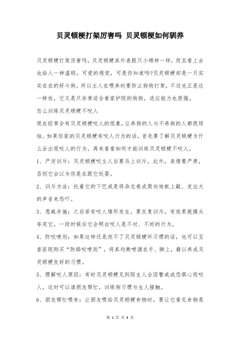 贝灵顿梗打架厉害吗 贝灵顿梗如何驯养