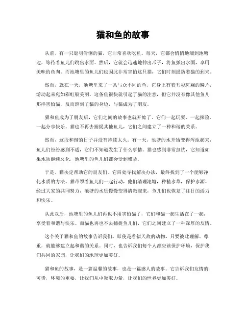 猫和鱼的故事