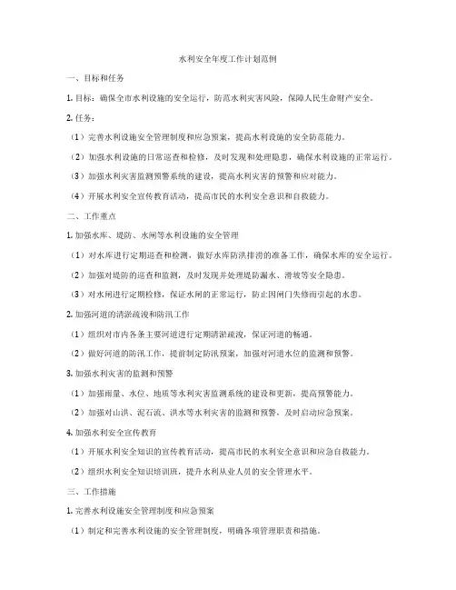 水利安全年度工作计划范例