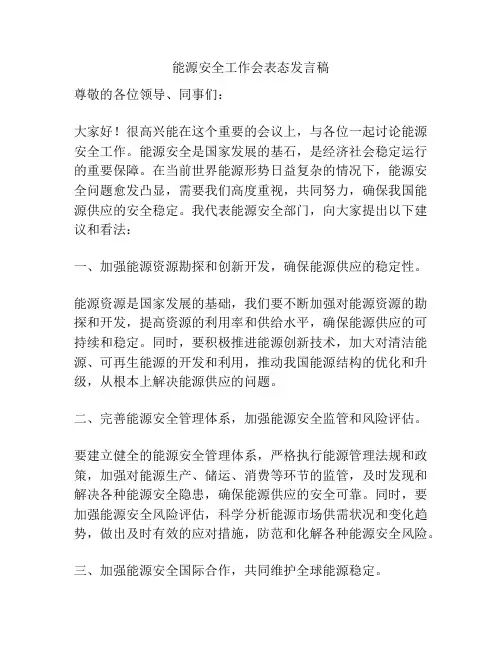 能源安全工作会表态发言稿