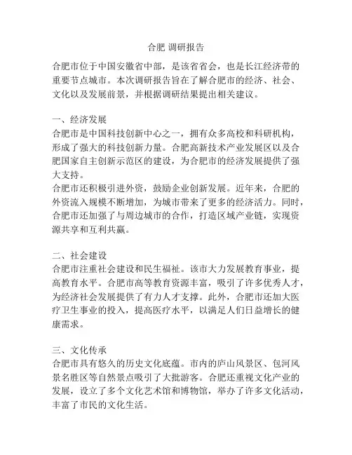 合肥 调研报告