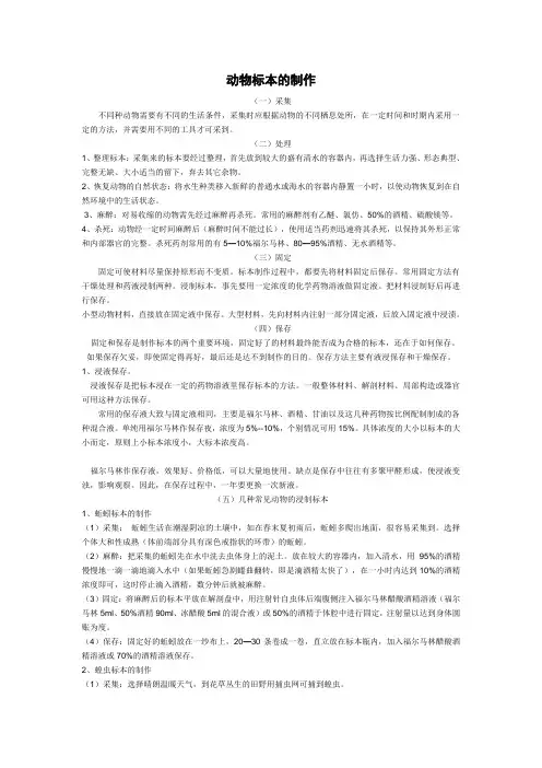 动物标本的制作