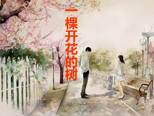 《一棵开花的树(席慕蓉)》精品课件