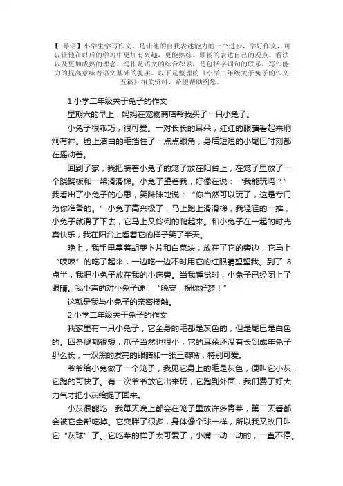 小学二年级关于兔子的作文五篇