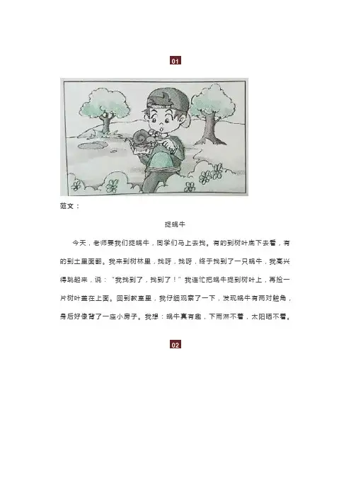 最新部编语文二年级下册看图写话范文38篇