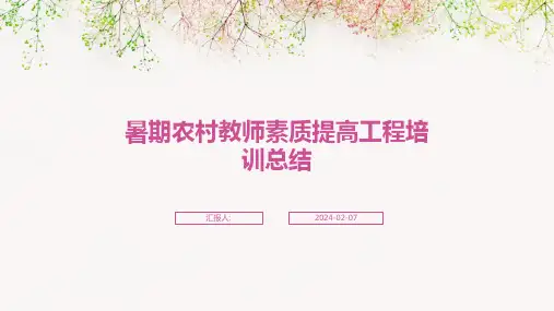 暑期农村教师素质提高工程培训总结