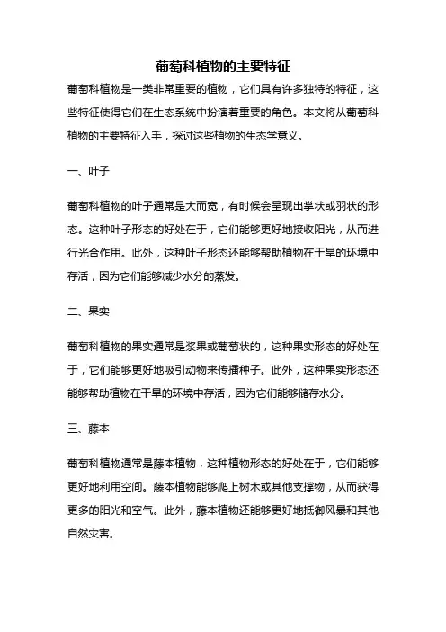 葡萄科植物的主要特征