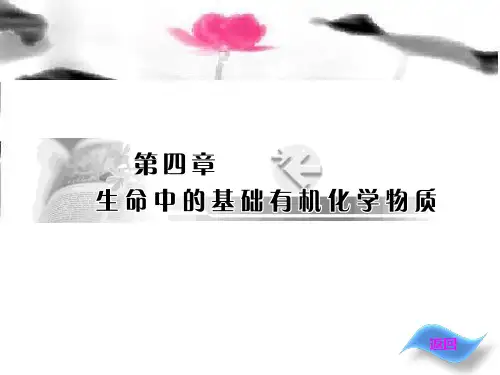 -油脂-新版