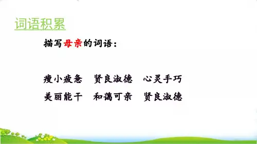 18 慈母情深  完美版课件(86张)