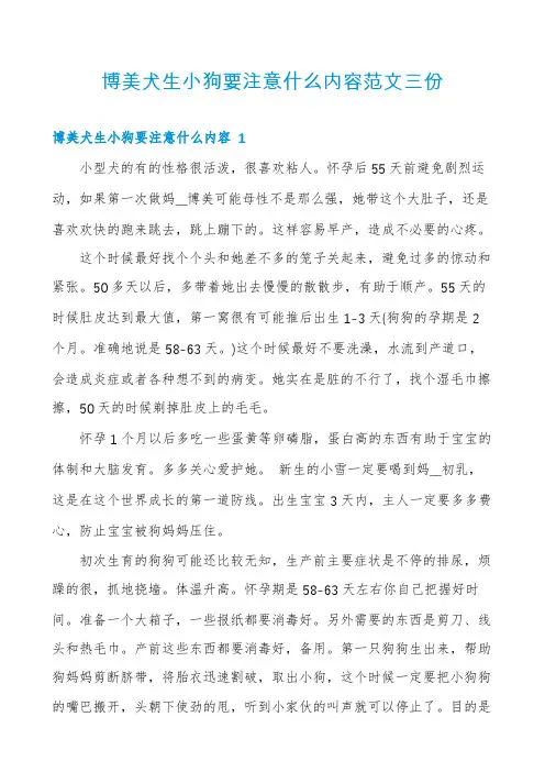 博美犬生小狗要注意什么内容范文三份