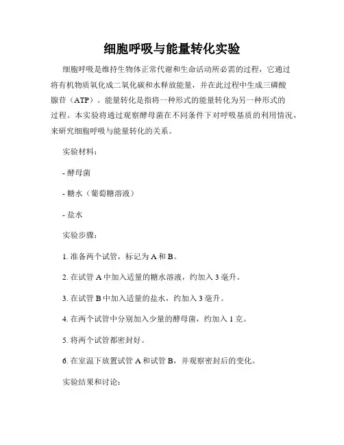 细胞呼吸与能量转化实验