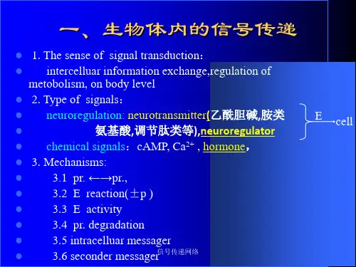 信号传递网络课件