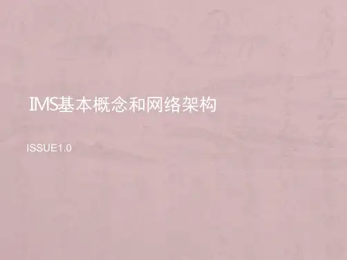 IMS注册及业务基本流程