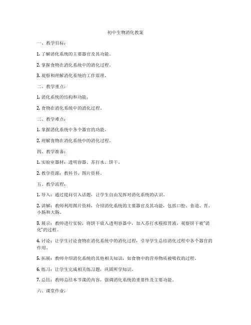 初中生物消化教案