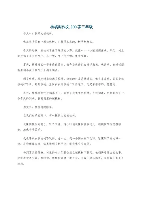 核桃树作文300字三年级