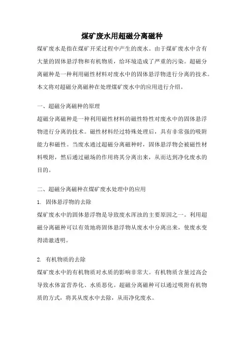 煤矿废水用超磁分离磁种
