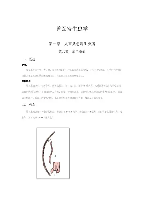 【免费下载】兽医寄生虫学 第一章人畜共患 第八节 旋毛虫病