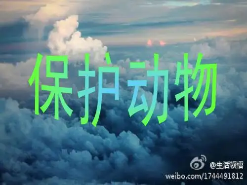 保护动物ppt
