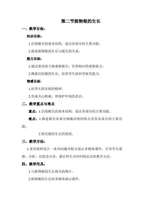 植物根的生长 教案