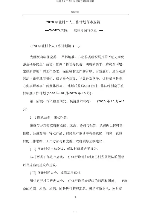 驻村个人工作计划规划方案标准五篇