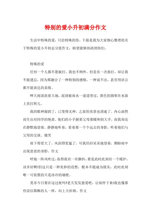 特别的爱小升初满分作文