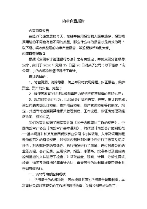 内审自查报告