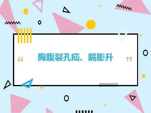 胸腹部裂孔疝和膈膨升影像诊断