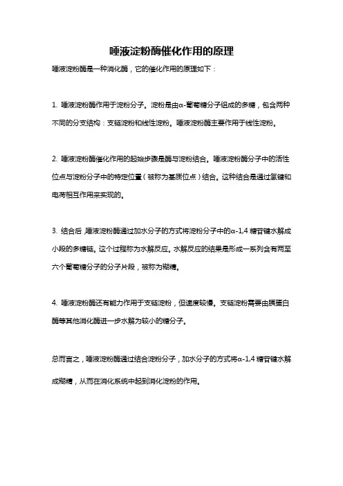 唾液淀粉酶催化作用的原理