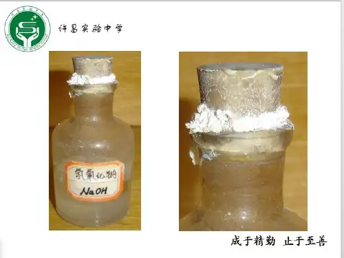 氢氧化钠变质探究 (共17张PPT)